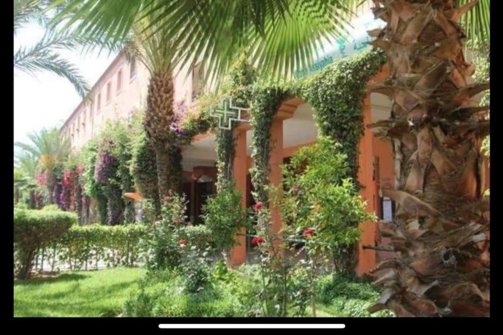 Riad Nolya Luxury Marrakech - Totalement Renove - Capacite Jusqu A 10 Lits Spacieux Marrakesh Bagian luar foto